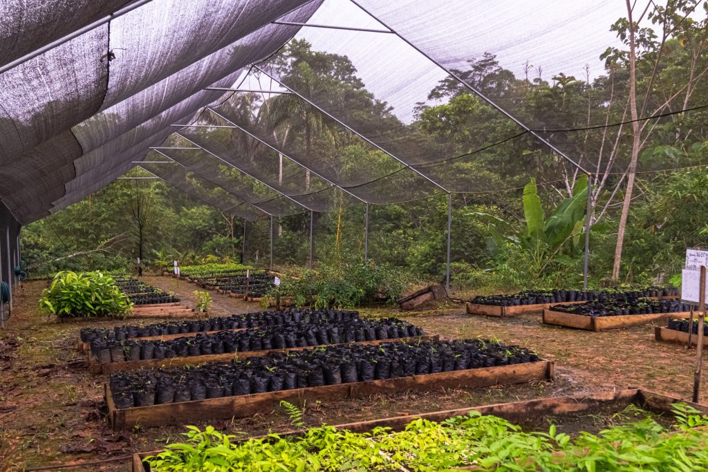 Finca_Experimental_Spoch_Lady-169